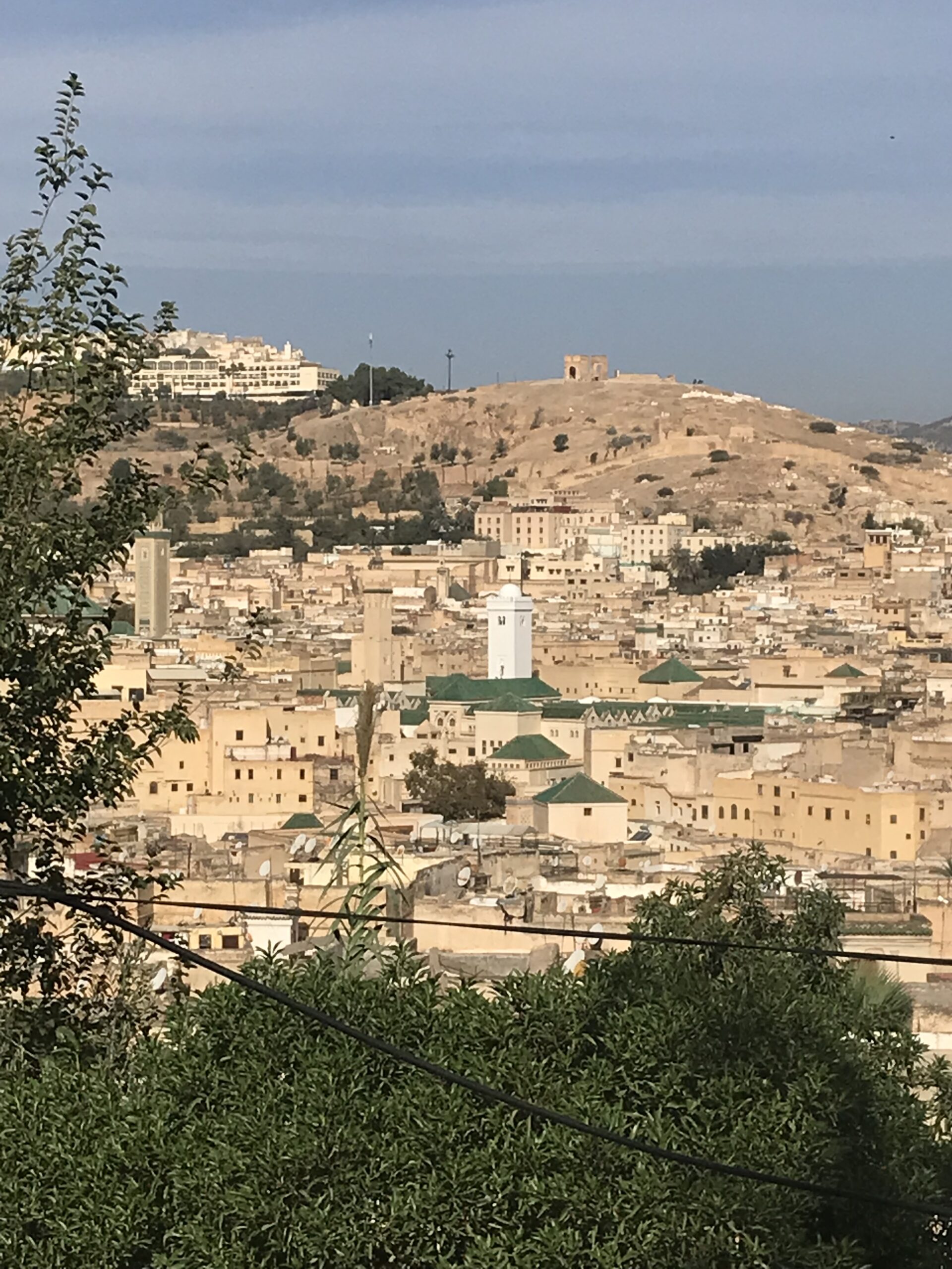 The Fez medina seen over some trees.