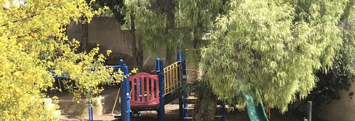 The playground area surrounded by trees.