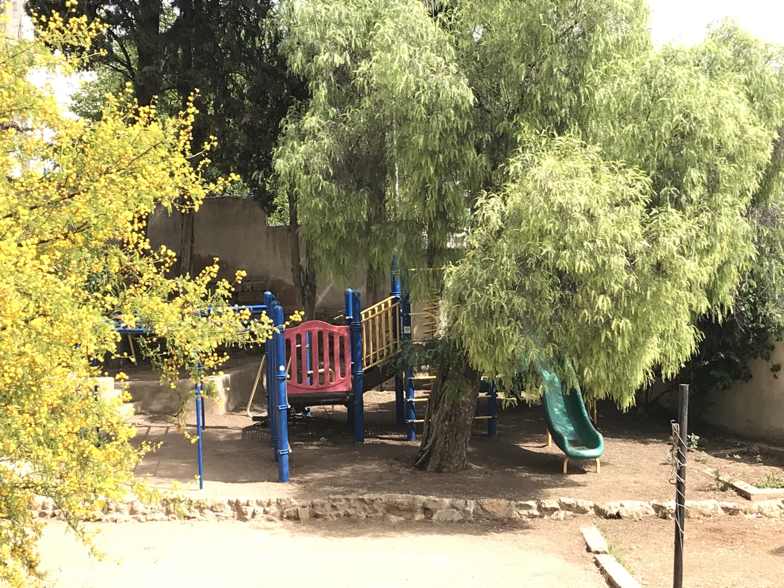 The playground area surrounded by trees.